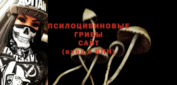 мет Каменногорск