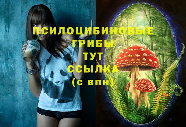 мет Каменногорск