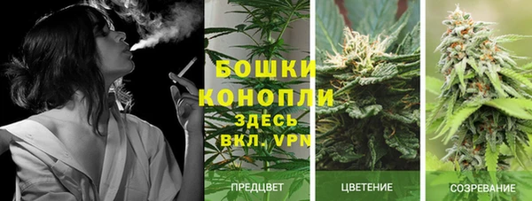 мет Каменногорск