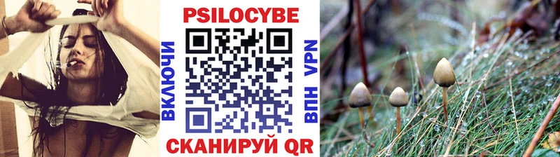 Галлюциногенные грибы Magic Shrooms  Рыбное 